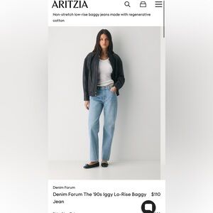 aritzia Denim Forum The '90s Iggy Lo-Rise Baggy Jean